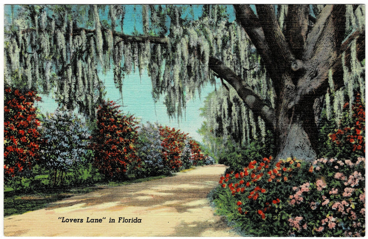 1939 Walk Down Lovers Lane Florida Vintage Postcard.