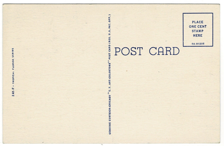 1939 Walk Down Lovers Lane Florida Vintage Postcard.