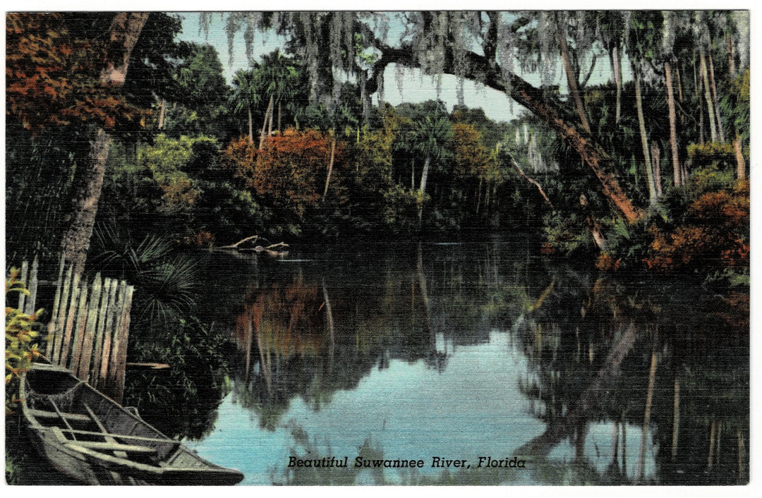 1942 Serene Suwannee River Florida Vintage Linen Postcard.