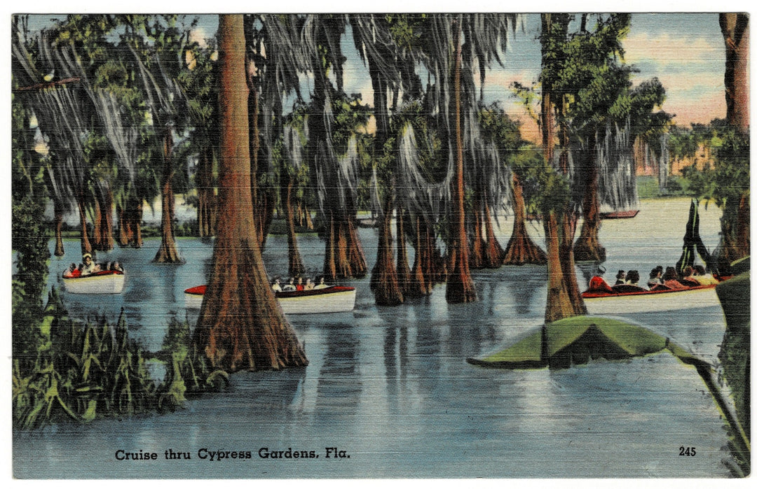 Vintage postcard.