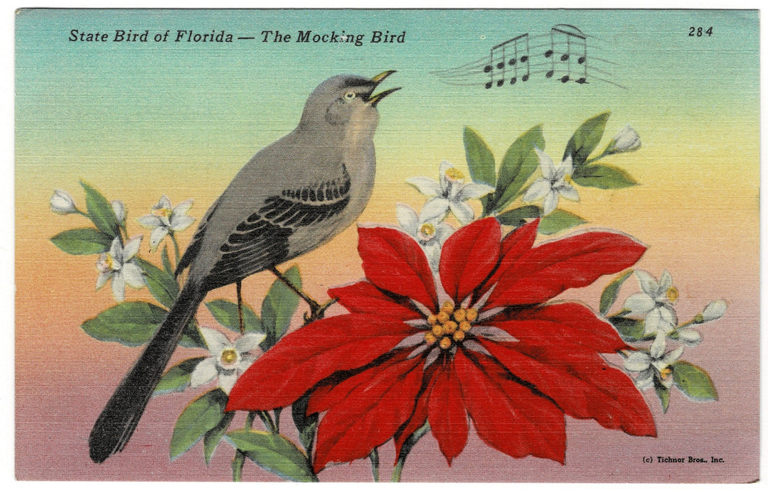Vintage postcard.