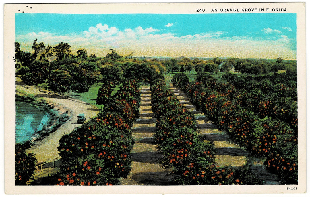 Vintage postcard.