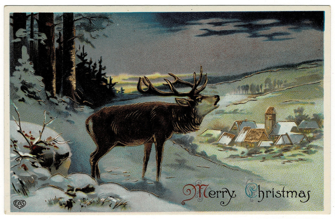 Vintage postcard.