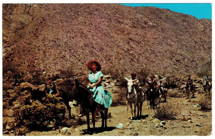 Vintage postcard.