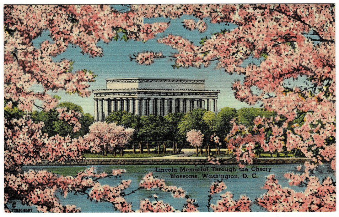 Vintage postcard.