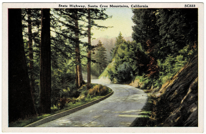 1934 State Highway 9 Santa Cruz Mountains California vintage postcard.