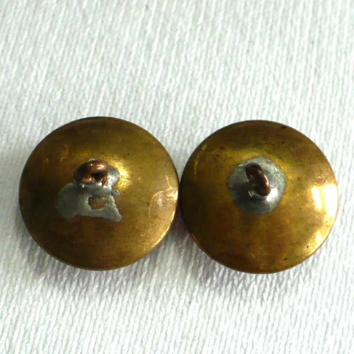 30L Genuine Amber Shank Buttons