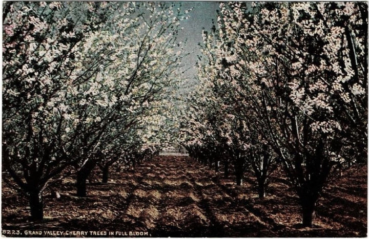 Postcard.