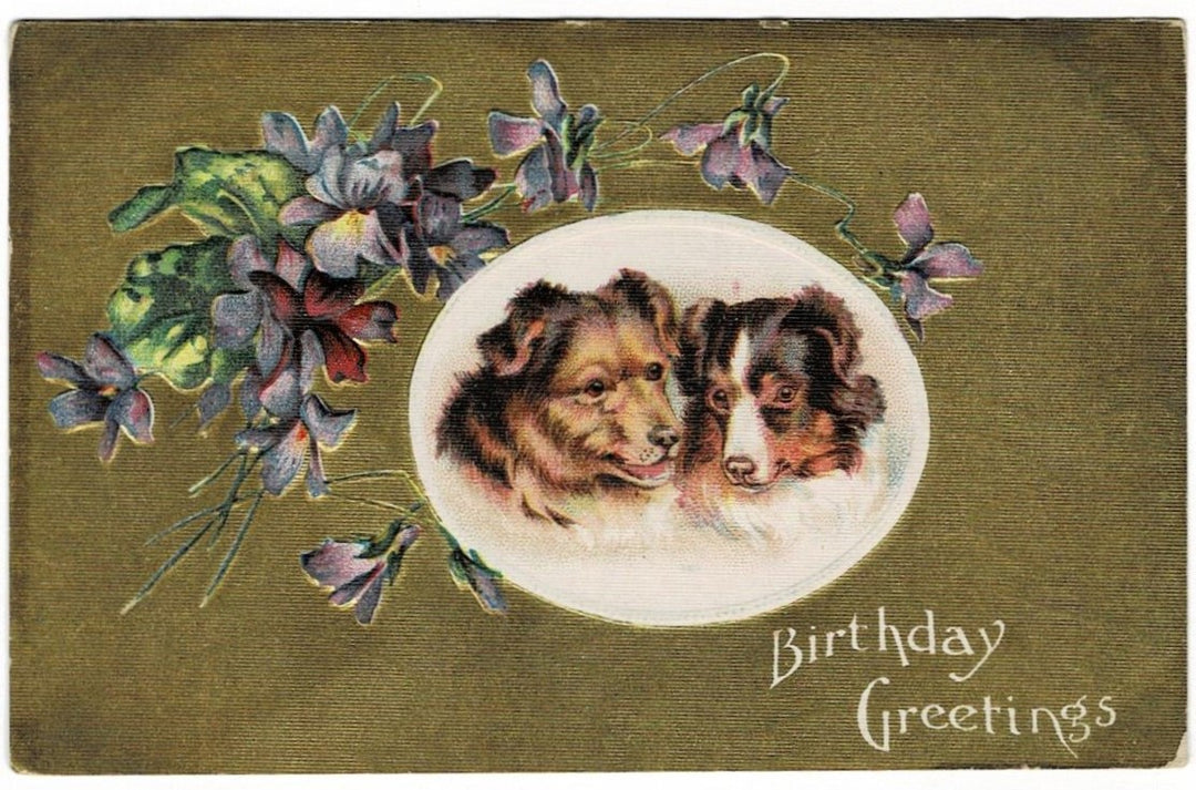 1909 Birthday Greetings Dogs Vintage Postcard
