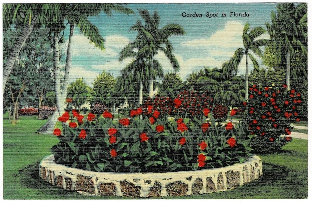 1950 Garden Spot Florida Vintage Postcard