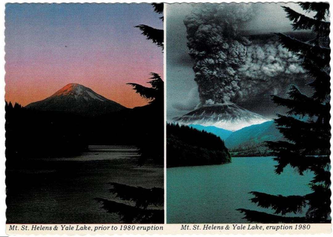 1981 Mount St Helens Yale Lake Washington Vintage Postcard