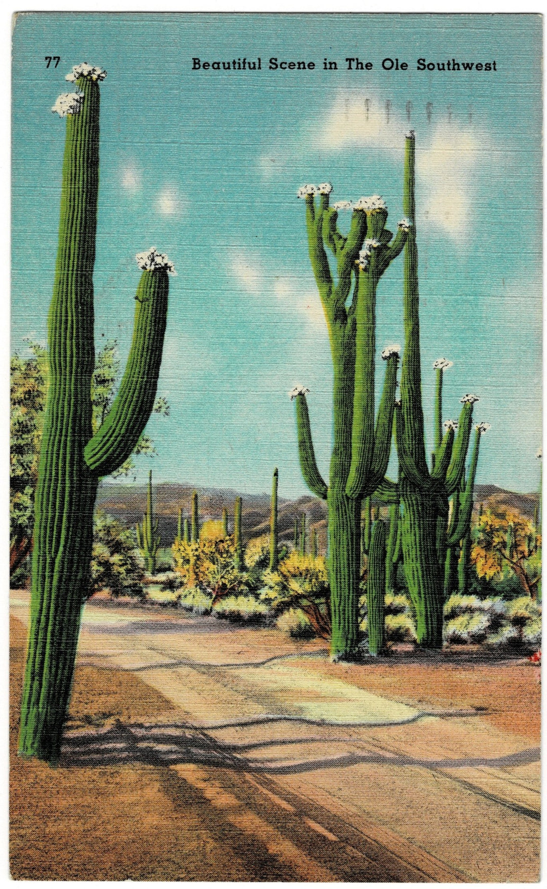 postcard.