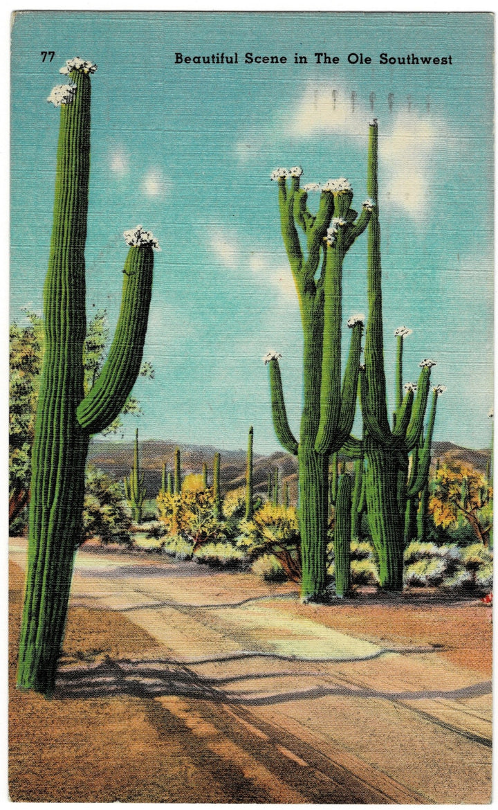postcard.