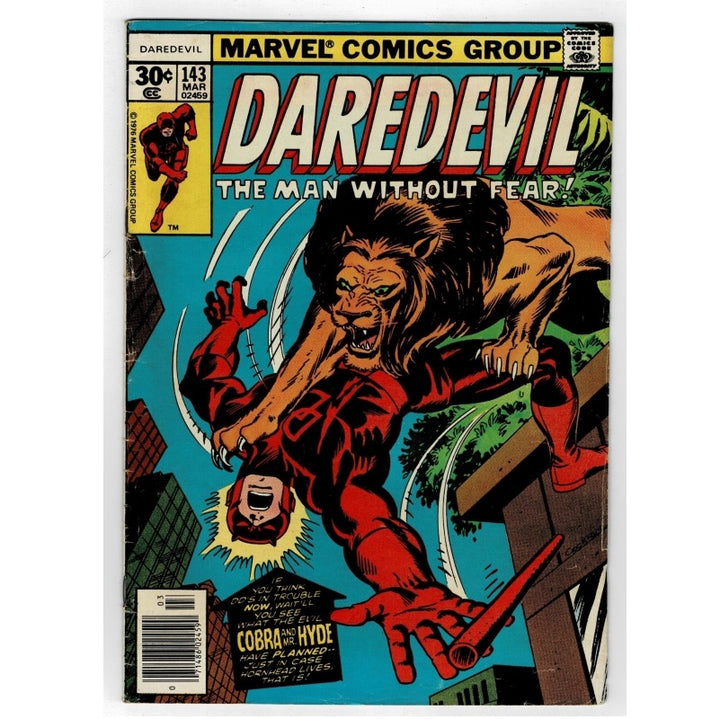 Marvel Comics Group Daredevil issue 143 comic book cover, featuring a lion attacking a red-clad Daredevil, photographed against a light gray background.