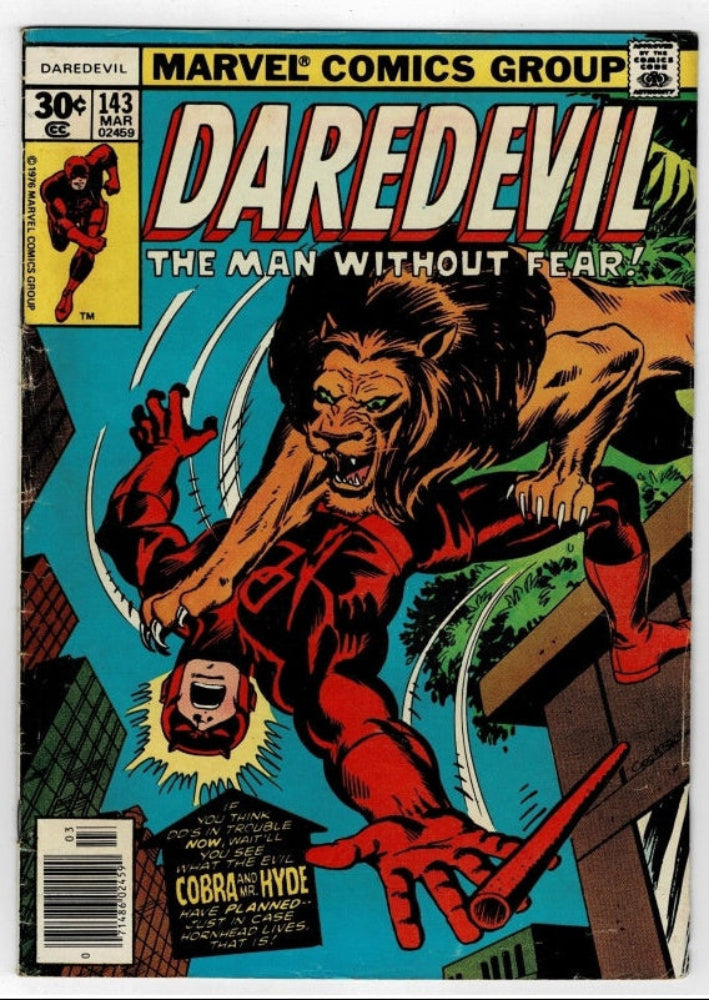Marvel Comics Group Daredevil issue 143 comic book cover, featuring a lion attacking a red-clad Daredevil, photographed against a light gray background.