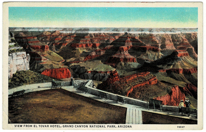 1910s Great Kaibab Plateau Grand Canyon Arizona Vintage Postcard 1919.