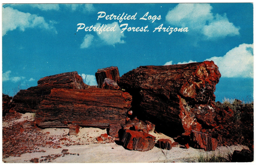 1950s Petrified Forest Arizona Vintage Postcard.
