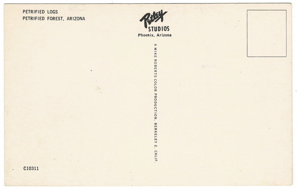 1950s Petrified Forest Arizona Vintage Postcard, back.