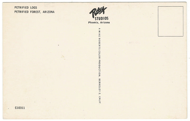 1950s Petrified Forest Arizona Vintage Postcard, back.