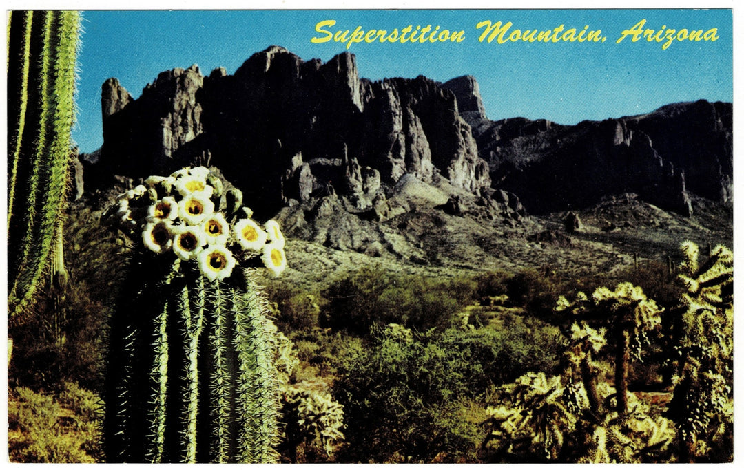 Postcard.