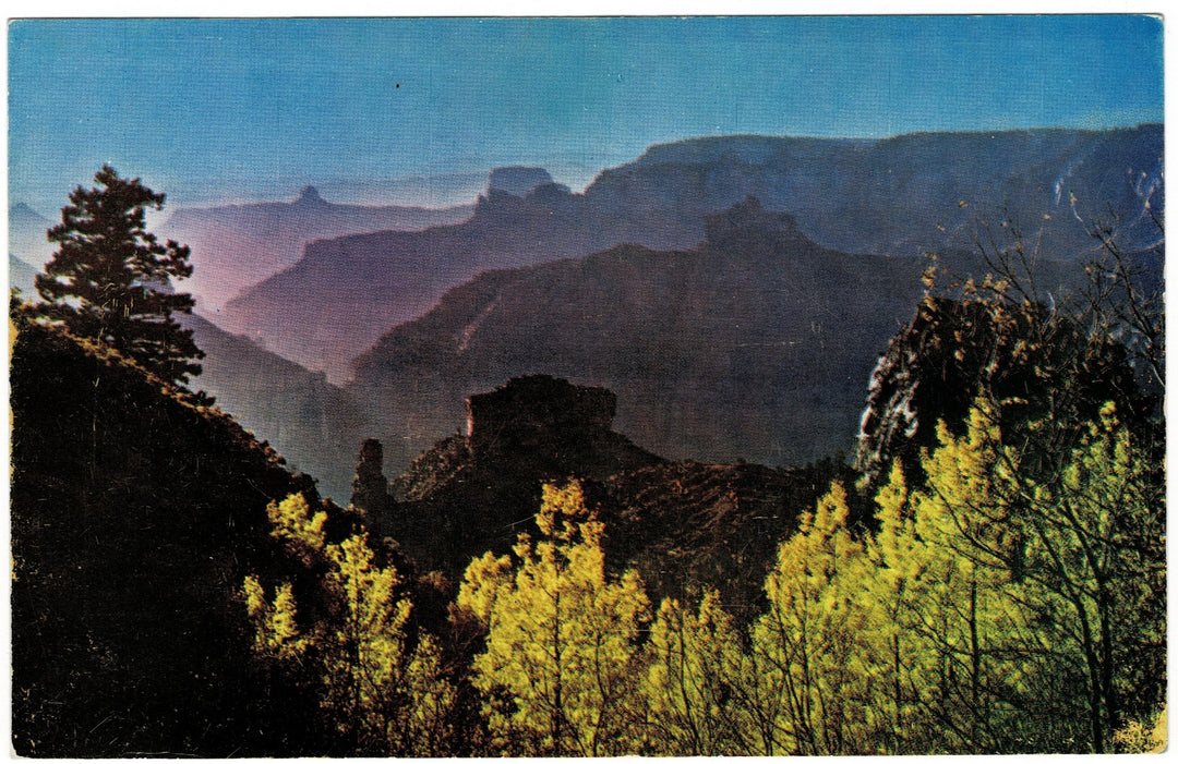 Postcard.
