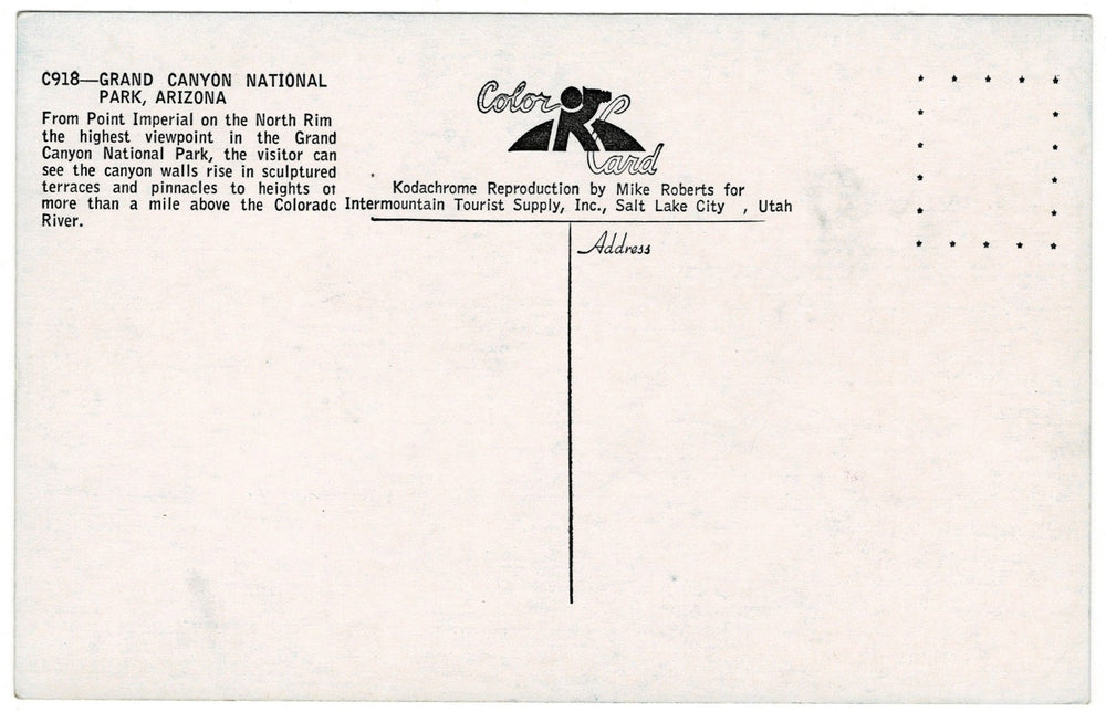 1950s Grand Canyon North Rim Point Arizona Vintage Postcard, back.