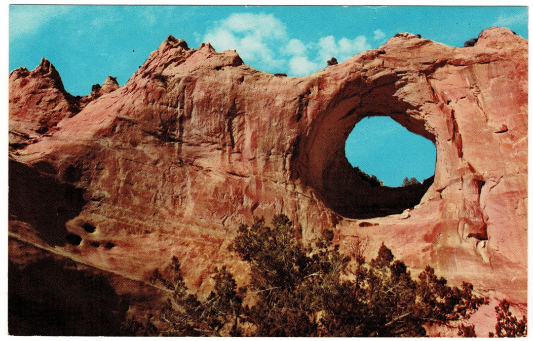 Vintage Postcard.