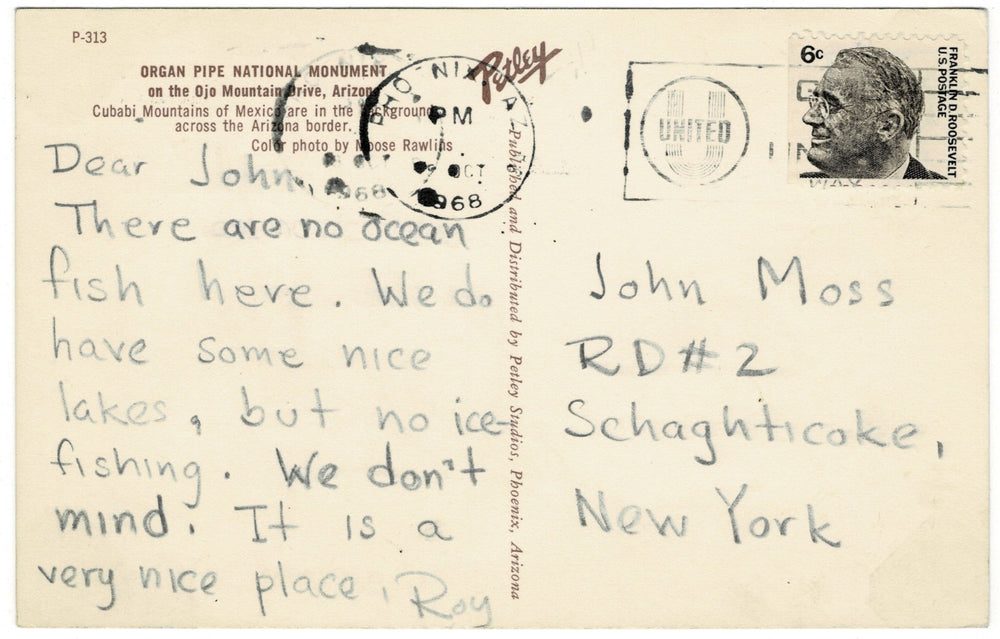 1960s Organ Pipe National Monument Arizona Vintage Postcard, back.