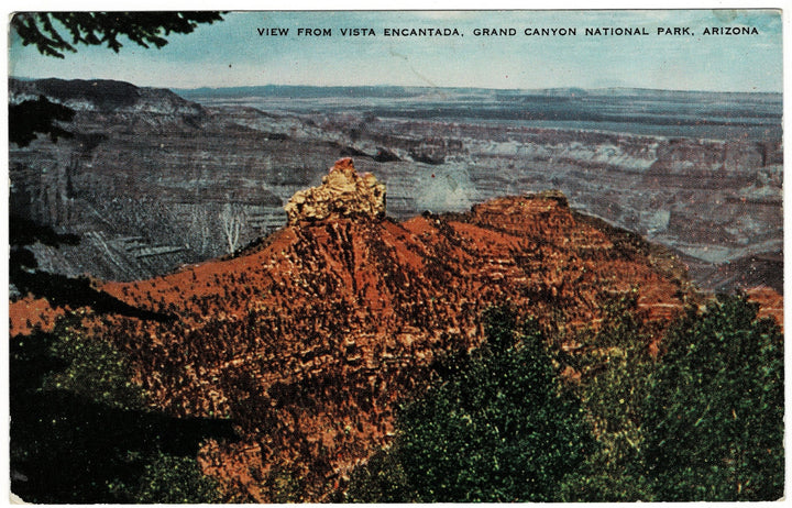 Vintage Postcard.