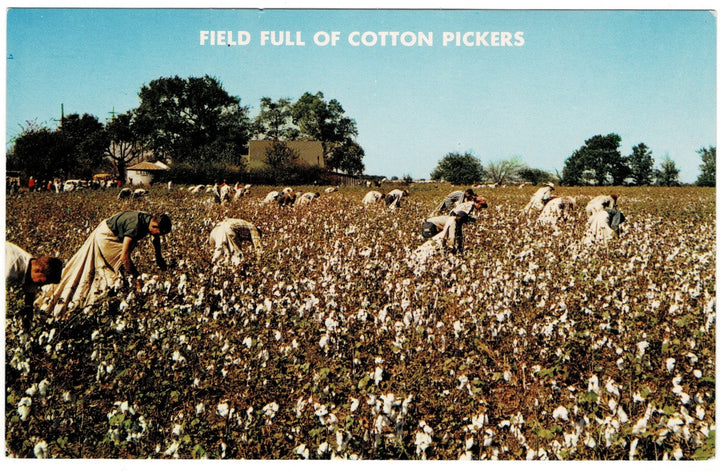 Postcard.