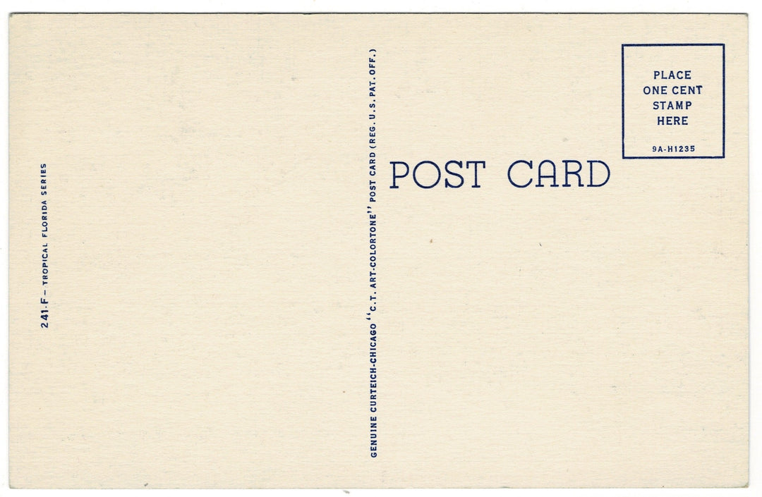 1939 Walk Down Lovers Lane Florida Vintage Postcard.