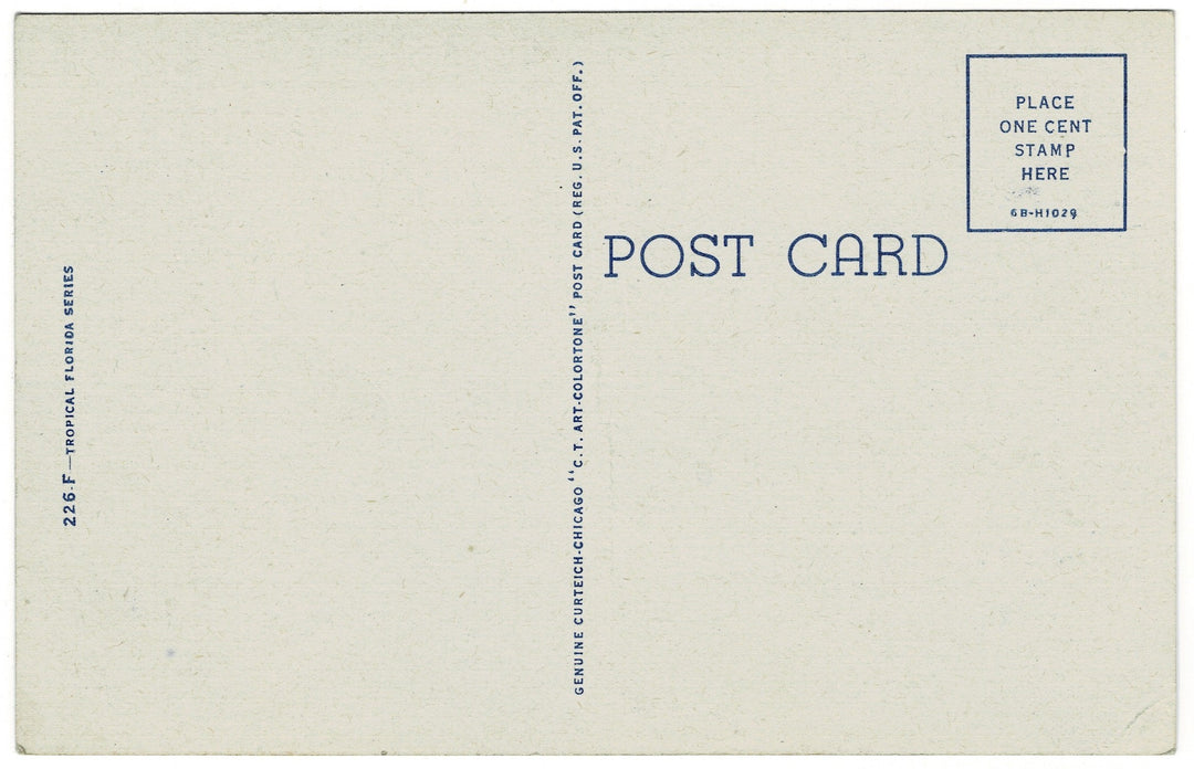 Vintage postcard.
