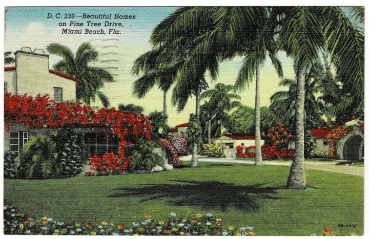 Vintage postcard.