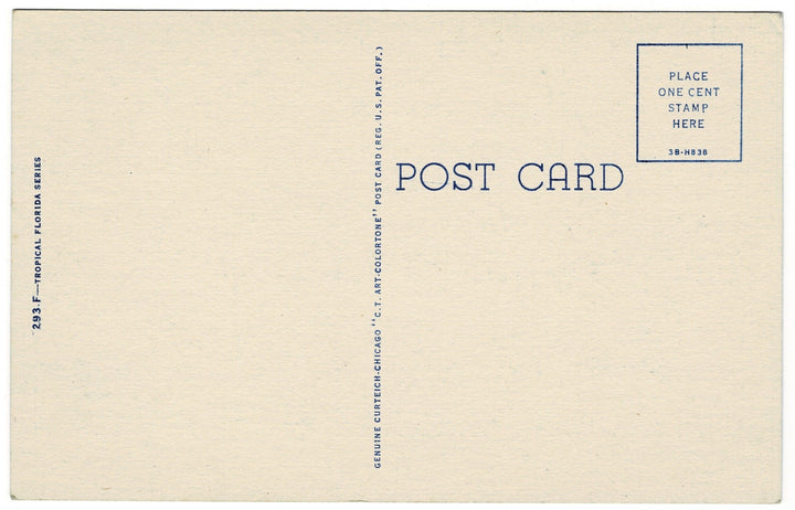 Vintage postcard.