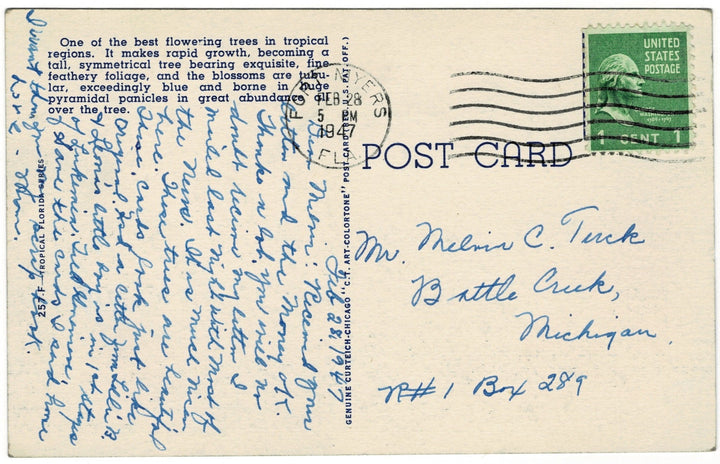 Vintage postcard.