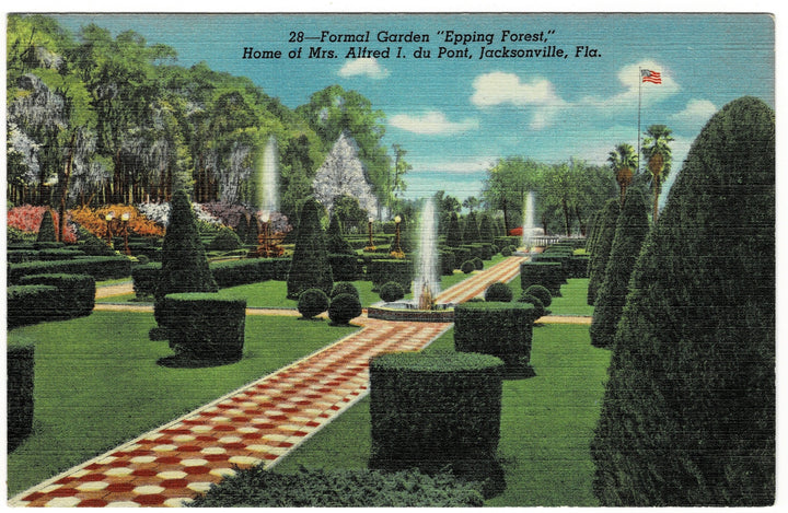Vintage postcard.
