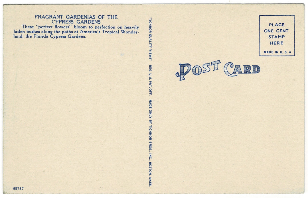 Vintage postcard.