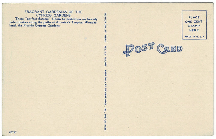 Vintage postcard.