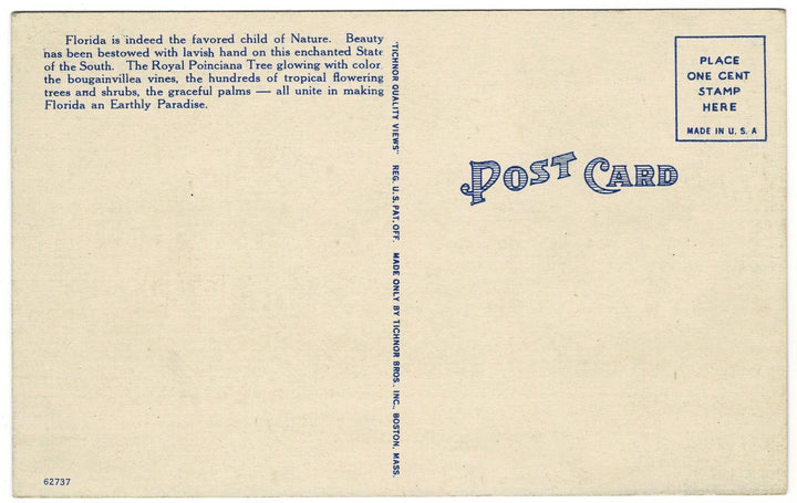 Vintage postcard.