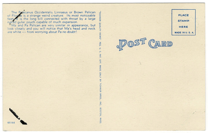 Vintage postcard.