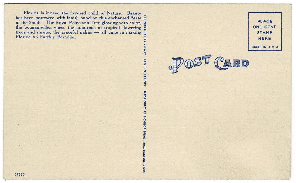 Vintage postcard.