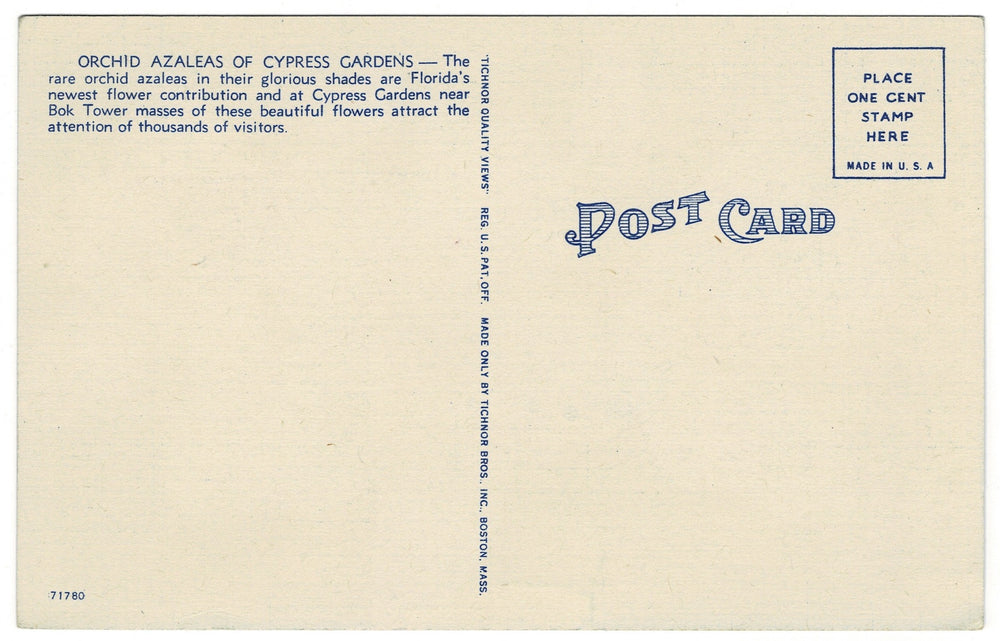 Vintage postcard.