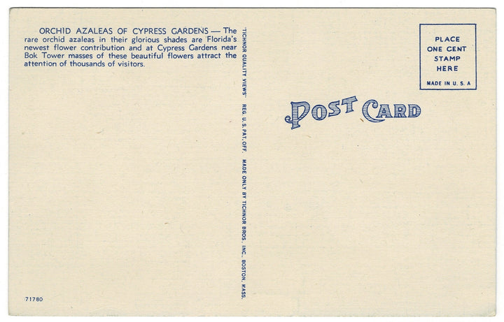 Vintage postcard.