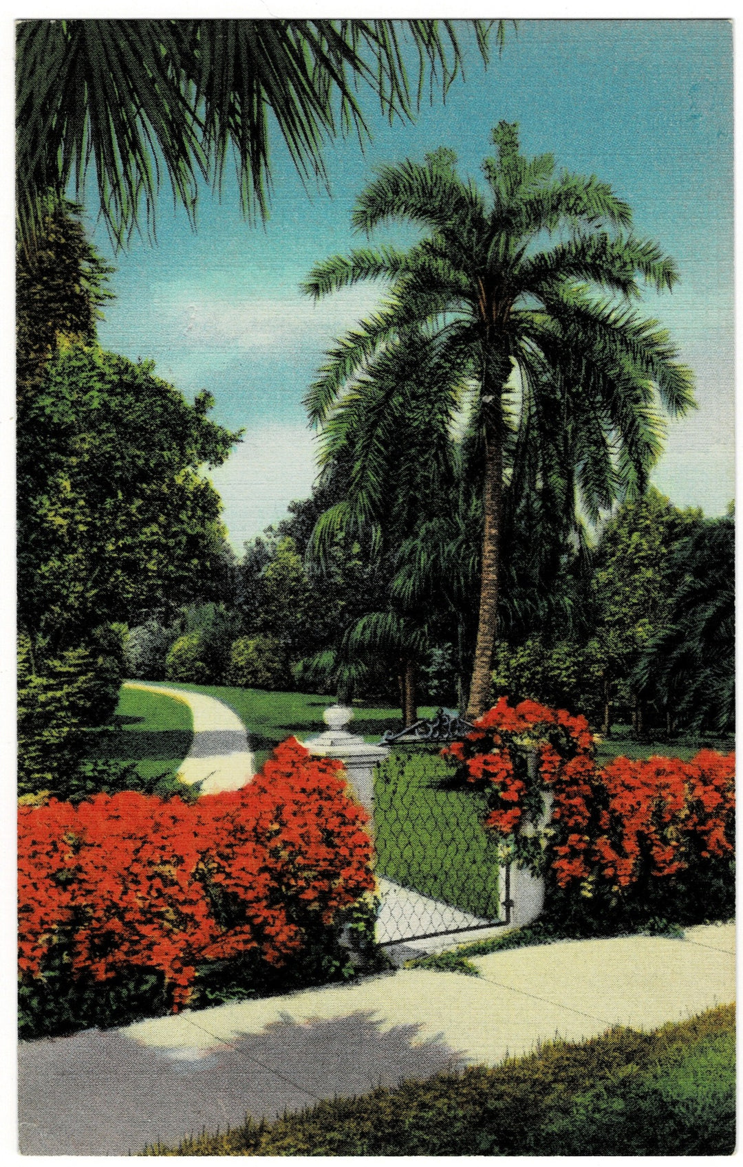 Vintage postcard.