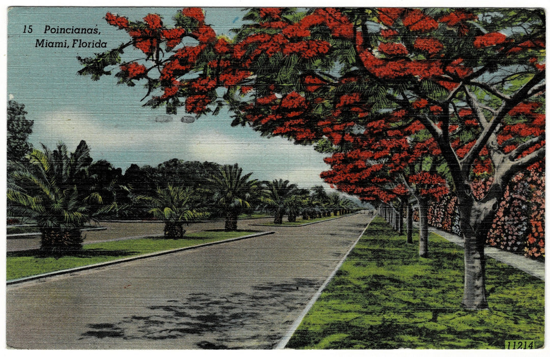 Vintage postcard.