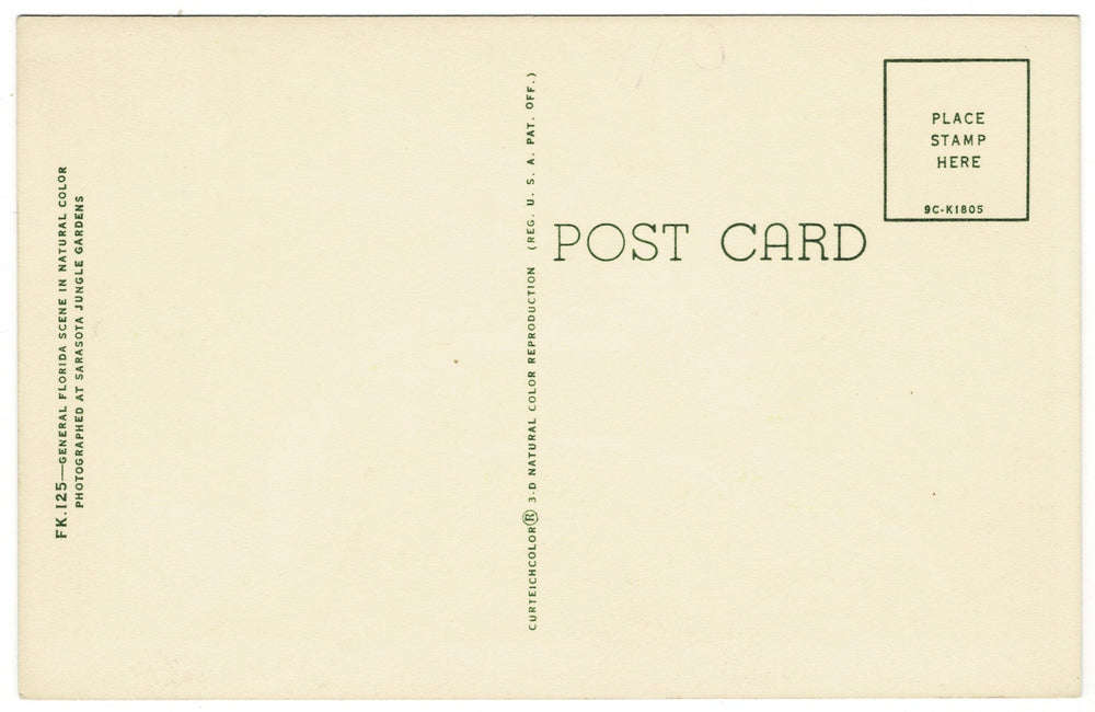 Vintage postcard.