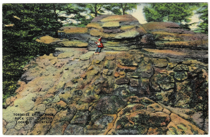 1930s Tortoise Shell Rock Lookout Mountain Georgia Vintage Postcard.