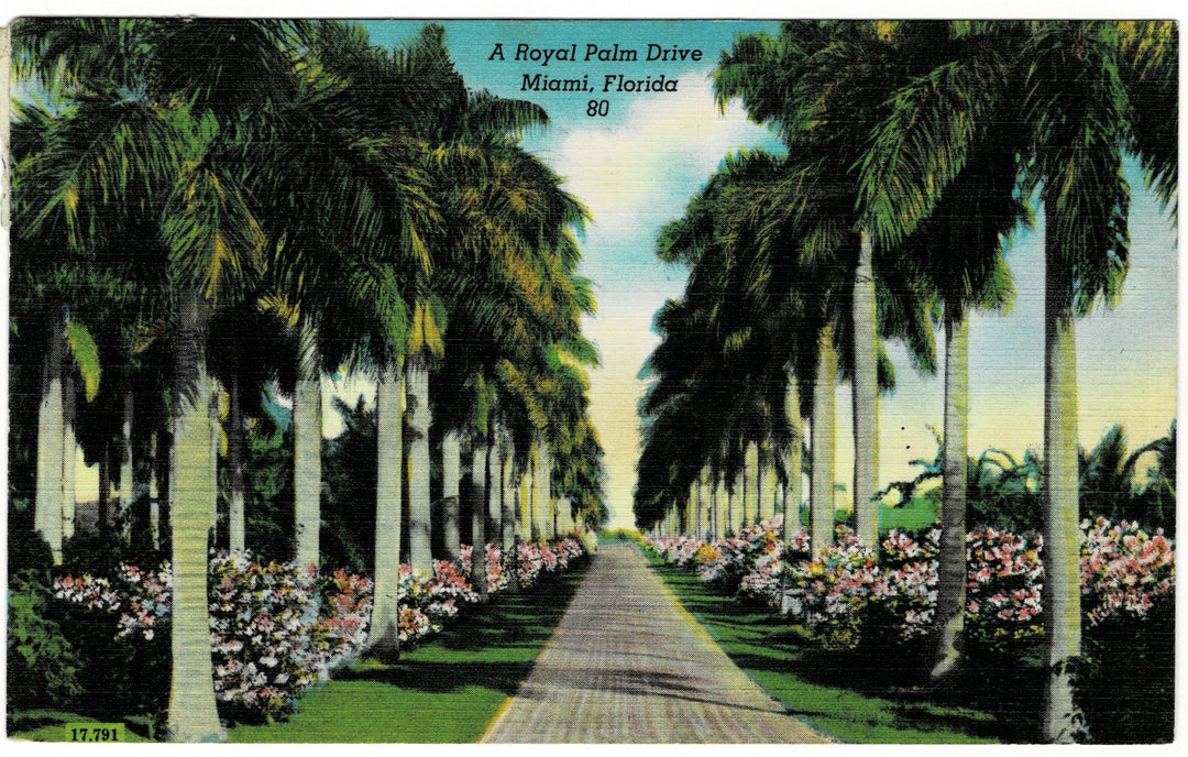 Vintage postcard.