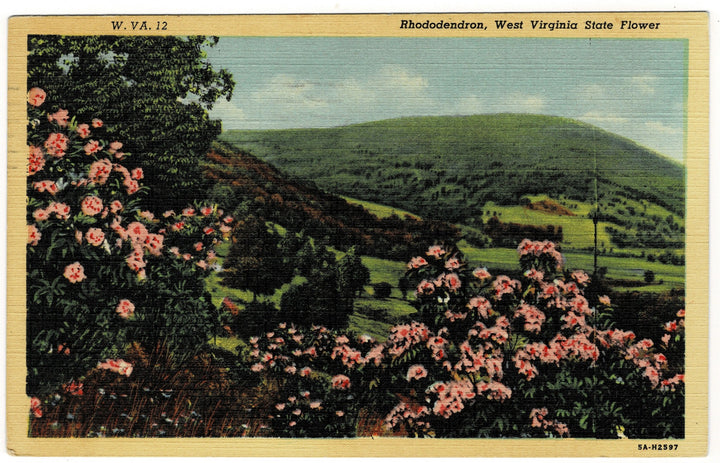 Vintage postcard.
