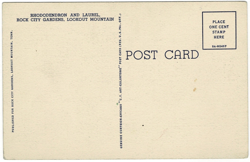 1930s Rhododendron Lookout Mountain Georgia Vintage Postcard, back view.